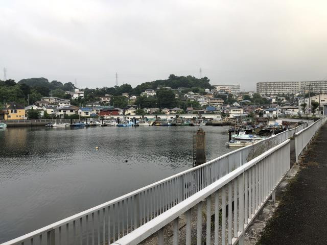 深浦湾の写真