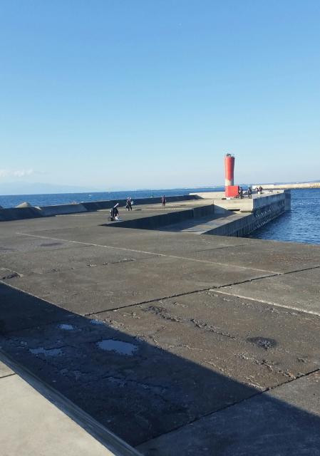 居島新堤の写真