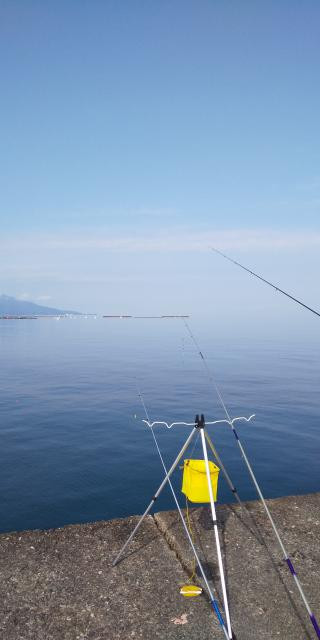 静浦漁港の写真