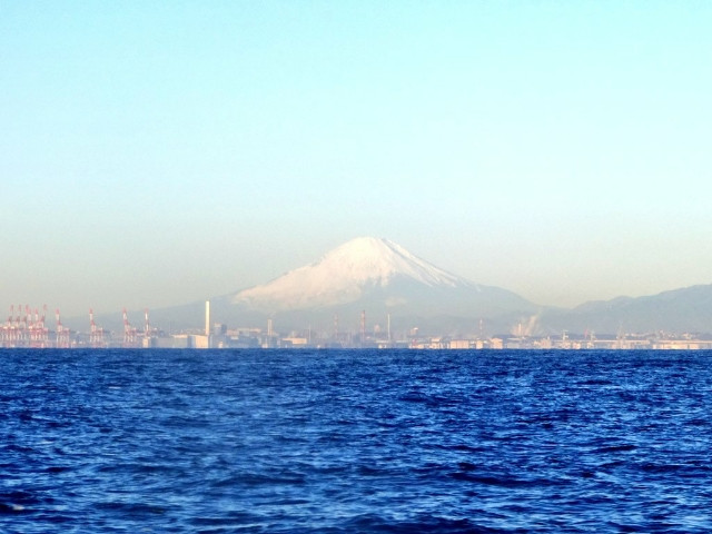 2022年の初釣りは湾フグ釣り(2022年1月9日)の写真