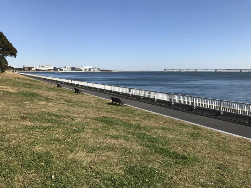 京浜島つばさ公園の写真