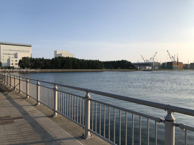 杉田臨海緑地公園の写真