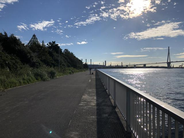 末広水際線プロムナード（ふれーゆ前）の写真