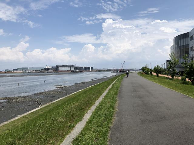 多摩川河口の写真