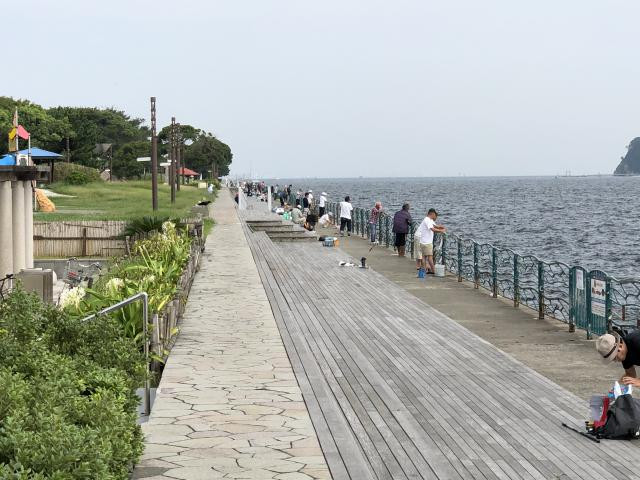 横須賀海辺つり公園の写真