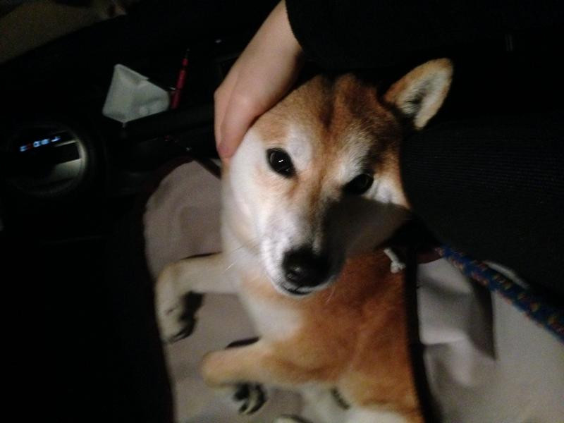 kreutsさんの写真