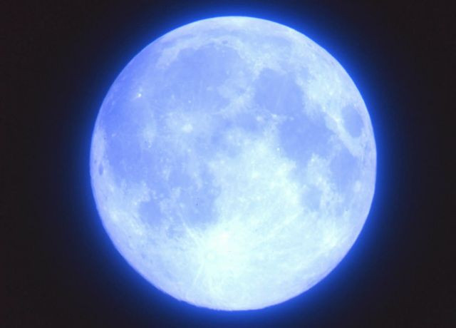 moonshotさんの写真