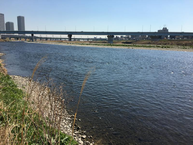多摩川の写真