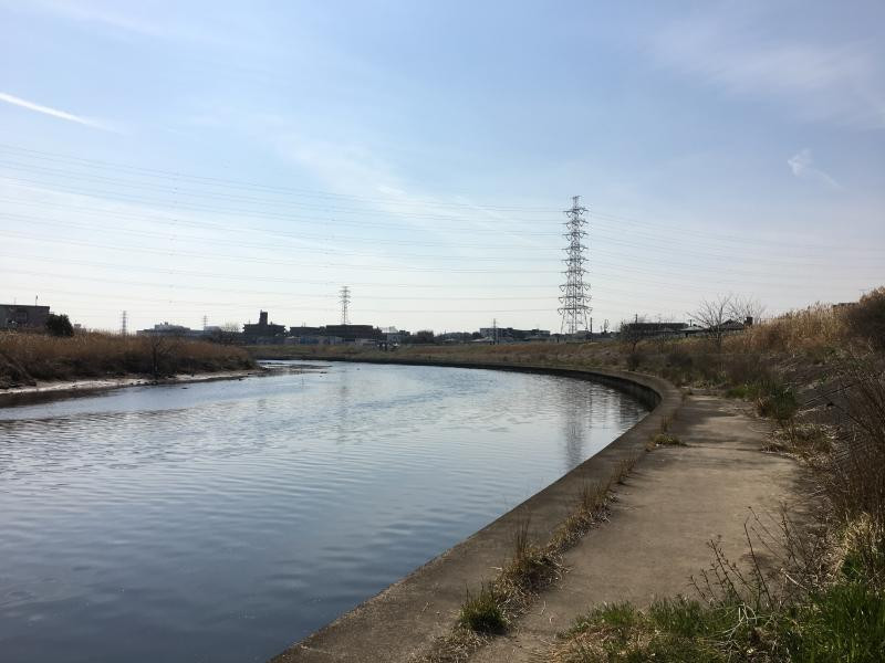鶴見川の写真