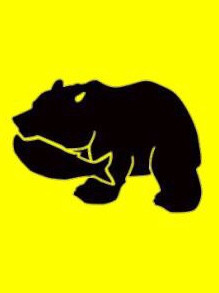 くろクマの写真