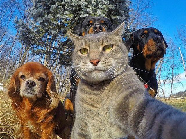 ずっかさんの写真