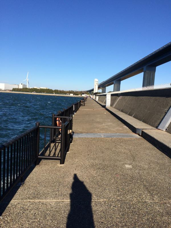 若洲海浜公園の写真