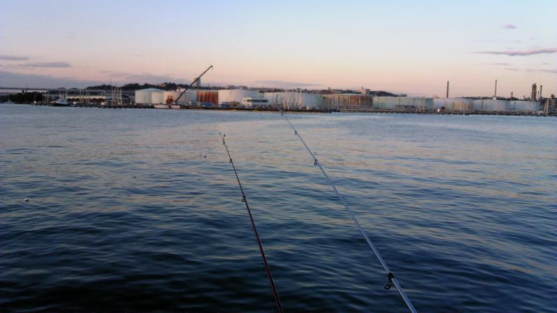 根岸湾の写真
