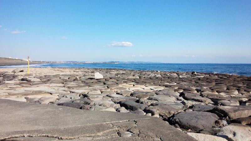 柳島石積みの写真