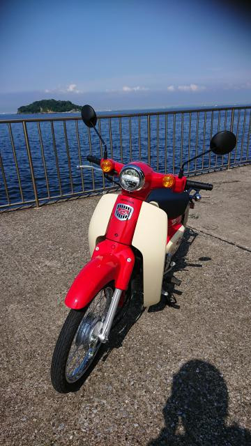 はなくそさんの写真