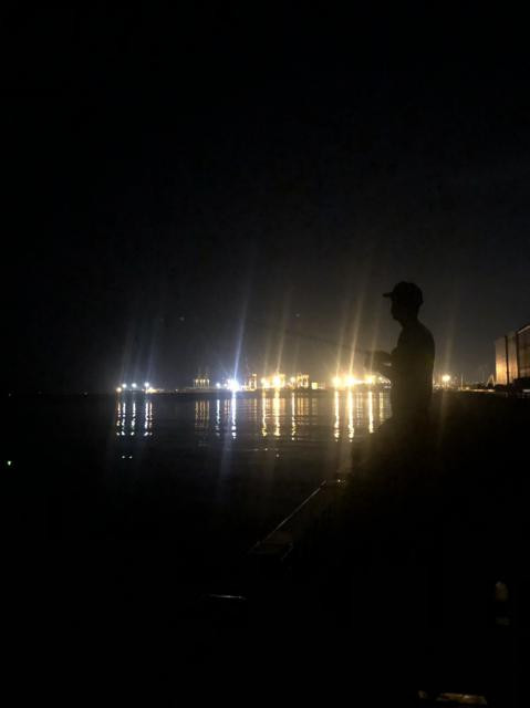 yohey1024さんの写真