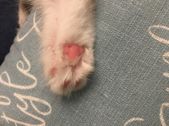 くぅさんの写真