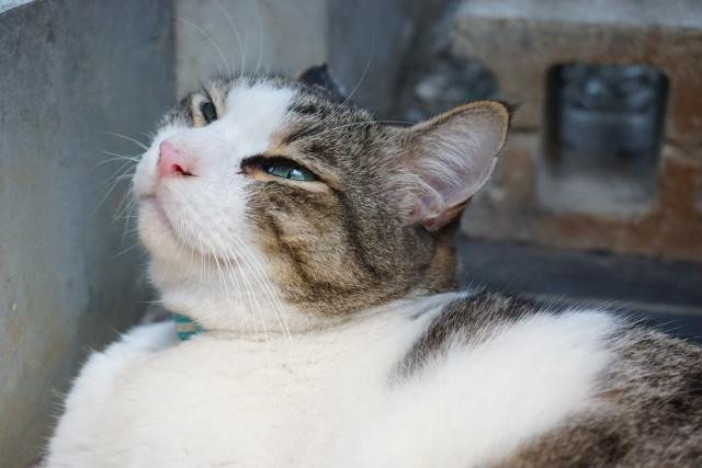 なりさんの写真